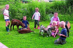 Bayerischer Wald ist beliebtes Reiseziel für Familien